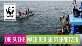 Gefährdung der Weltmeere: Was ist ein Geisternetz? | WWF Deutschland