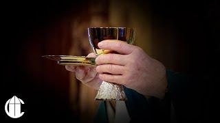 Catholic Mass Today: 7/14/24 | Fifteenth Sunday in Ordinary Time