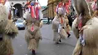 3. Münchner Faschingszug 2008: Impressionen von ganz-muenchen.de (Archiv 2008)