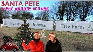 Getting our Christmas Tree - Santa Pete and The Nordic Spruce :) @mendipchristmastreefarm212