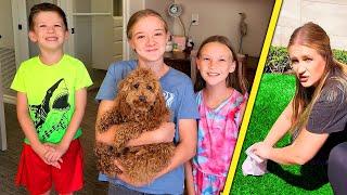 Taking Our Puppy for a Walk!!