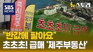 눈물의 제주 부동산..'초고가 분양' 그리고 끝없는 '붕괴' (뉴스토리) / SBS