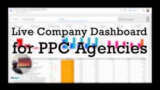 Live Company Dashboard for PPC Agencies