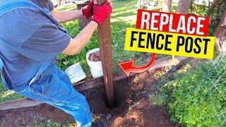 How To Replace a Rotted Fence Post -Jonny DIY