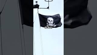 The Only Navy Ship with this Flag