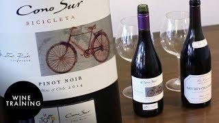 Wine Training - Pinot Noir | Wine Training School