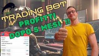 Quanto ho GUADAGNATO dopo 5 MESI col mio BOT AUTOMATICO di TRADING sul Forex!?!?  #software