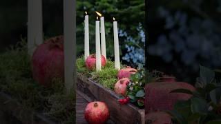 Pomegranates & moss for Christmas ️ #christamasdecorations #advent #christmasdiy