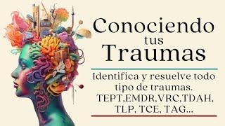 Entendiendo y SANANDO tus traumas / Audiolibro completo