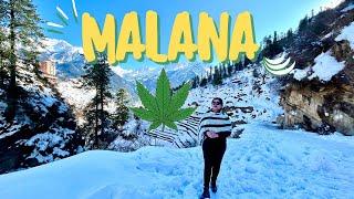 Malana Village | Things to do in Kasol | Kasol Tourist Places  Parvati Valley   Travel On Wheels