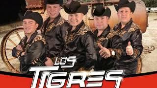 MIX LOS TIGRES DE PARRAL 2020 DJMARTINEXX DALE SUSCRIBETE