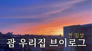 괌일상 VLOG  | 괌에서 살림하고 육아하고. 이게 찐 브이로그 아닙니까?