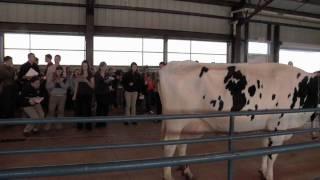 Learning La Vaca