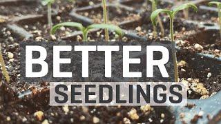 BETTER Seedlings Guide