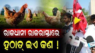 ରାଜଧାନୀ ରାଜରାସ୍ତାରେ ହଠାତ୍ କୁକୁଡା ! || Bhubaneswar || Mo Dunia