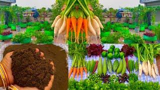 How To Make Kitchen Waste N Garden Waste Compost At Home//Simple And Easy Way To Make Compost