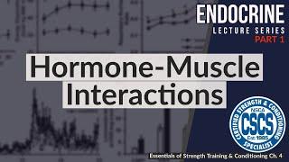 Hormone-Muscle Interactions | CSCS Chapter 4