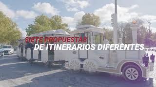 FUNDACIÓN DE LOS FERROCARRILES ESPAÑOLES - Tren de la Fresa