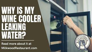 Why Is My Wine Cooler Leaking Water? 3 Superb Reasons Why It Happen