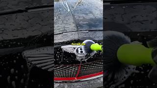 Why most detailers don't have a business