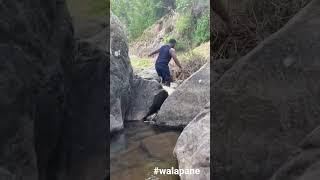 #walapane #walkthrough  #river