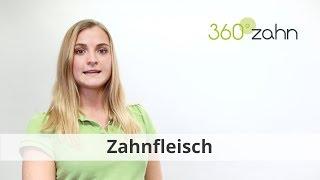 Zahnfleisch - Was ist Zahnfleisch? | Dental-Lexikon | 360°zahn