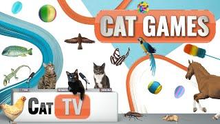 CAT Games | Ultimate Cat TV Compilation Vol 40 | 2 HOURS 