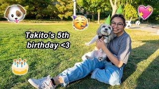 driving 5 hours for my dog's birthday party