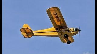 Carl Goldberg Piper Cub