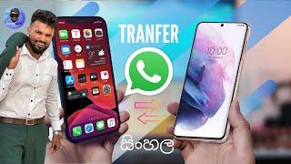 How to Transfer WhatsApp from Android to iPhone|WhatsApp Backup from Google Drive to iPhone