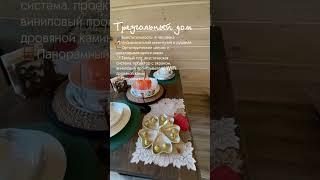 Треугольный дом Лось и лес в Томске🫎 Ждем вас в гости #томск #томскаяобласть