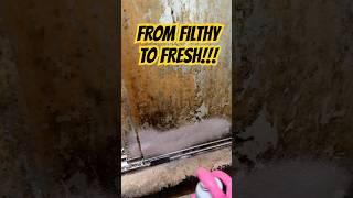 The World’s Best Cleaner Has Arrived!  #extremecleaning #cleantok #transformation #makeover