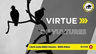 Virtue of Vultures - North Carolina Wildlife Federation