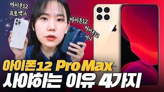 아이폰12 ProMax 찐 유저가 말하는 '아이폰12 프로맥스 사야하는 이유