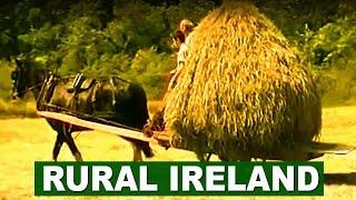 Farm life in rural Ireland