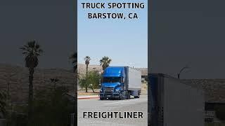 TRUCK SPOTTING #01482 / FREIGHTLINER #automobile #semitrailer #trucking