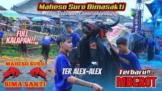 SPECIAL TER ALEX-ALEX‼️MAHESO SURO BIMASAKTI (MSBS) Live Rekesan, Cemorokandang 30/12/2023