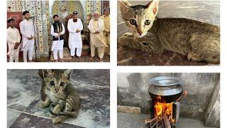 Daily routine & jummah Mubarak vlog-Playing with my baby kitten #cat #kashmirvillagelife