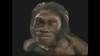 Early humans sings Dame da ne (Baka mitai)