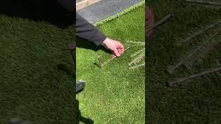 Securing Artificial Turf in Toronto #artificialgrass #shorts #turfgrass