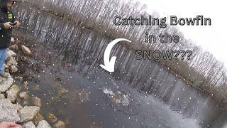 Snowfin! (Winter fishing for Bowfin while it's SNOWING!)