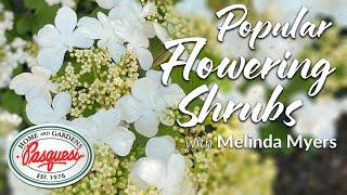 Popular Flowering Shrubs for Your Landscape