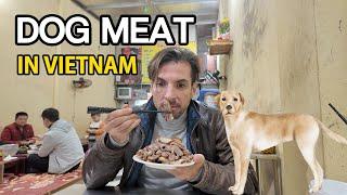 I tried dog meat in Hanoi. Different cultures eat different foods.Would you try it?