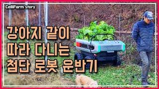 사과 수확 할 때 이 운반기 덕분에 일이 2배는 빨리 끝났어요. 대동에서 나온 최첨단 로봇 운반기