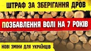  НОВІ ПОКАРАННЯ ТА ШТРАФИ ДЛЯ УКРАЇНЦІВ ЗАКОН 9665 ПРО ДРОВА.