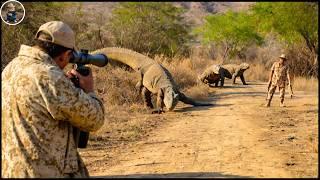 How Do Hunters and Farmers Deal with Millions of Komodo Dragons, Pheasants and Willow Ducks by Guns?