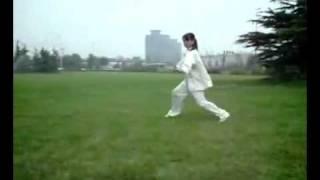 Five Elements Song Style Xingyiquan