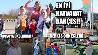 EN İYİ HAYVANAT BAHÇESİ! HERKES ÇOK EĞLENDİ ve BEN KOŞMAYA BAȘLADIM!‍️