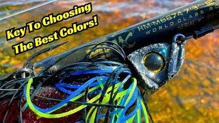 The Most Important Factor In Choosing the Correct Fishing Lure Color!