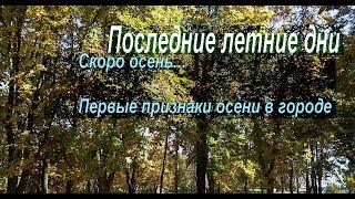 Последние летние дни. Кончается лето... Первые признаки осени в городе/Природа лечит нервы